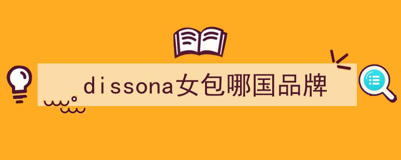告别跟风潮流，拥抱国货风采,DISSONA手袋，百搭高级，引领时尚新风尚"/