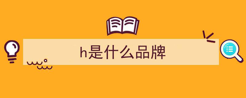 爱马仕无奈面对假“H”拖鞋横行，唯有叹息一声"/