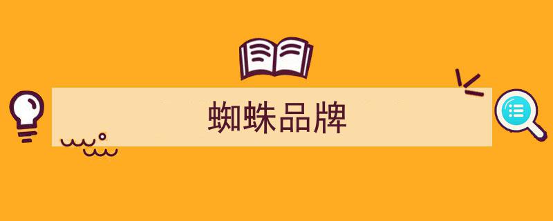 SPYDER滑雪运动品牌进军中国市场，积极布局冬奥会冰雪市场新机遇"/