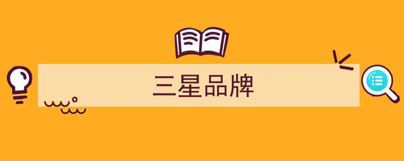 2025年Brand