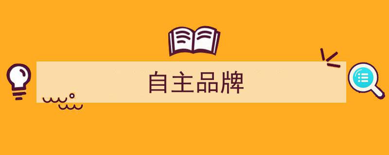 全面迈向“新”纪元,自主品牌深耕高端化、智能化锚点"/