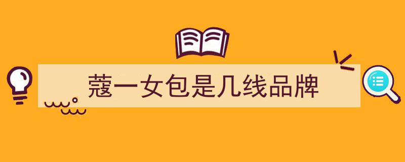 中国女包行业现状深度剖析与发展前景趋势预测报告"/